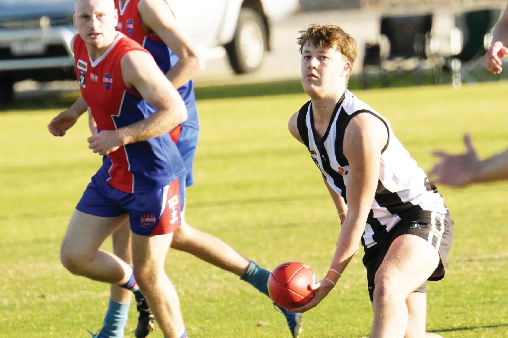 Pies out of the blocks - feature photo