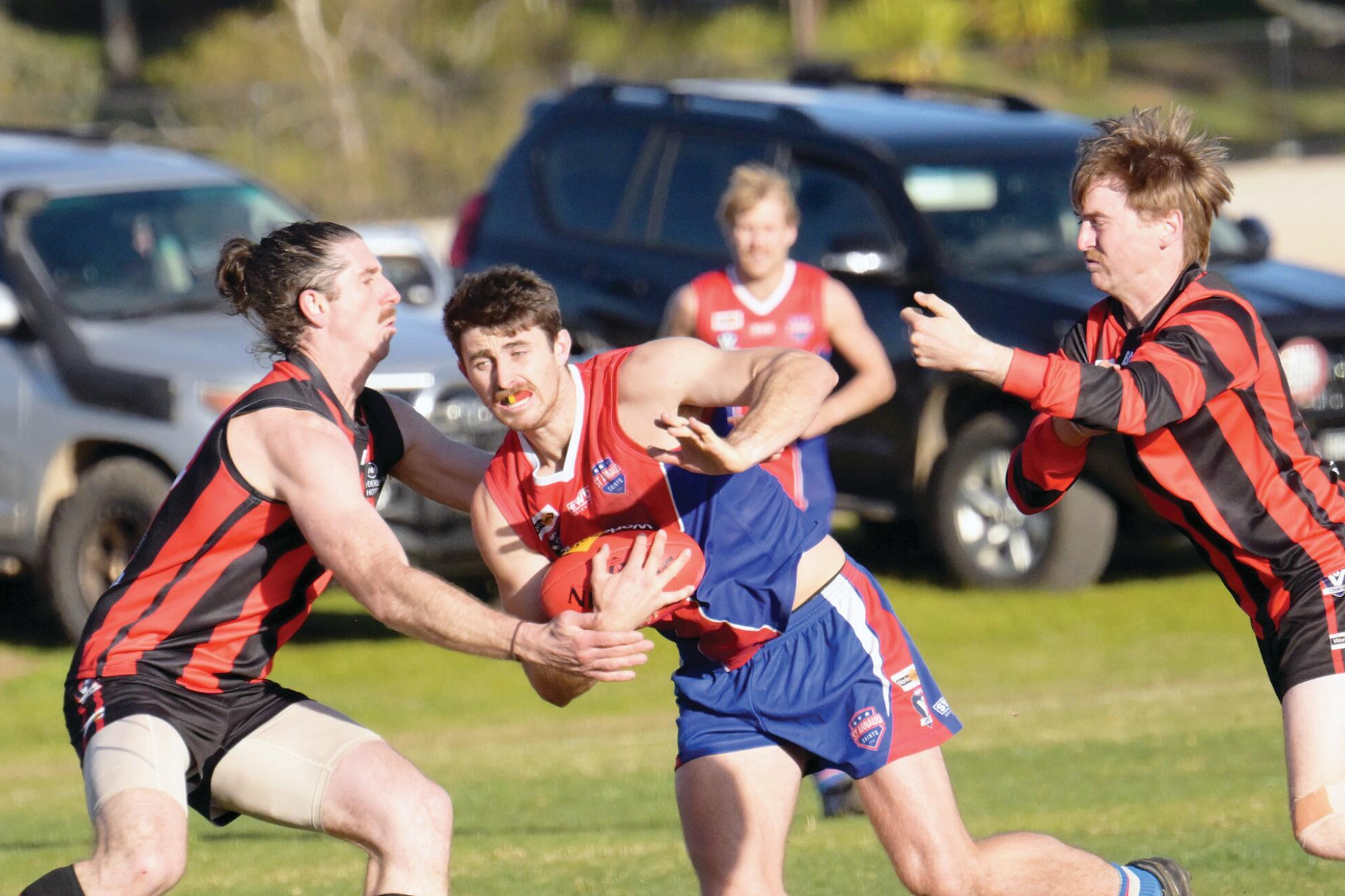 Grand standard bearers - Redbacks rule - feature photo