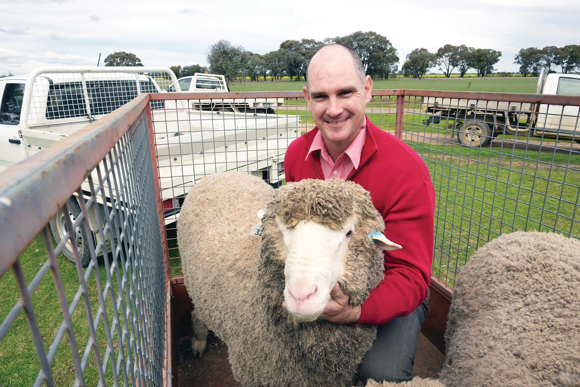 Rex Bennett with the top priced prime line ram. LH PHOTO