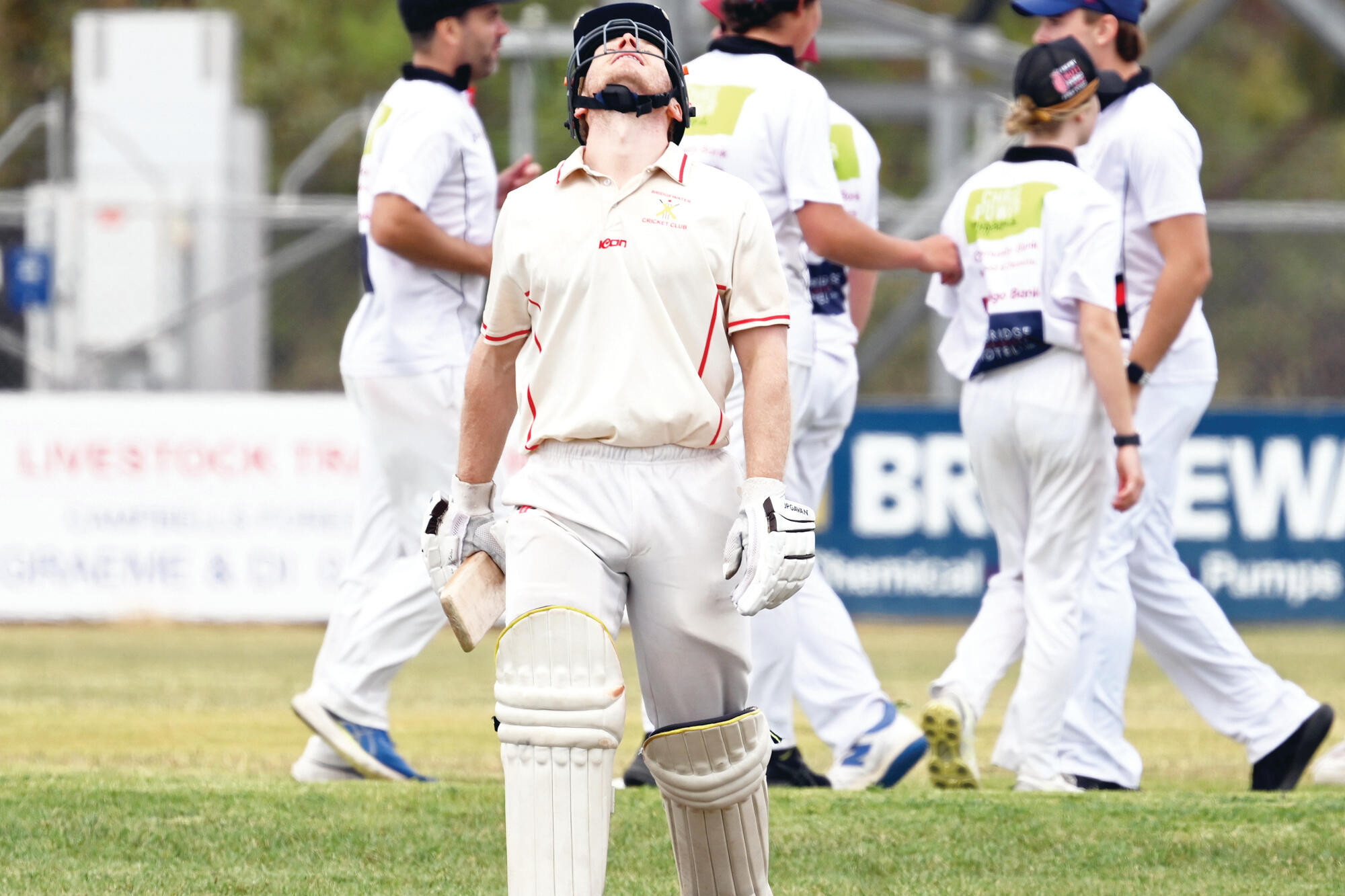 Deadly seven collapse: Bulls bats bounced - feature photo