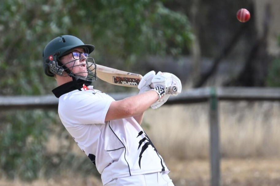 Stunning draw and late charge in Upper Loddon cricket - feature photo