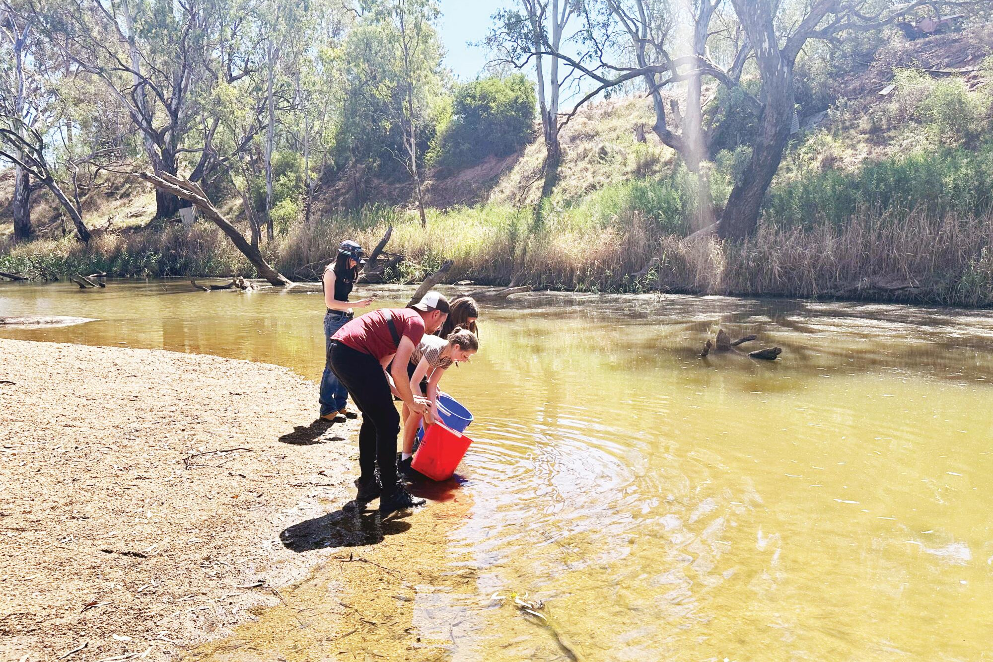 Kevin Ferguson is helped by his daughters with the latest Murray cod release into the Loddon River at Newbridge.