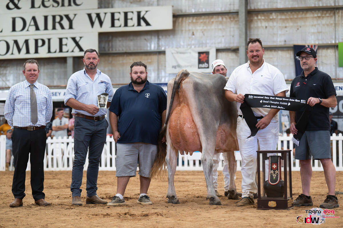 Matt Dennis and Ben Govett in the prizes at International Dairy Week