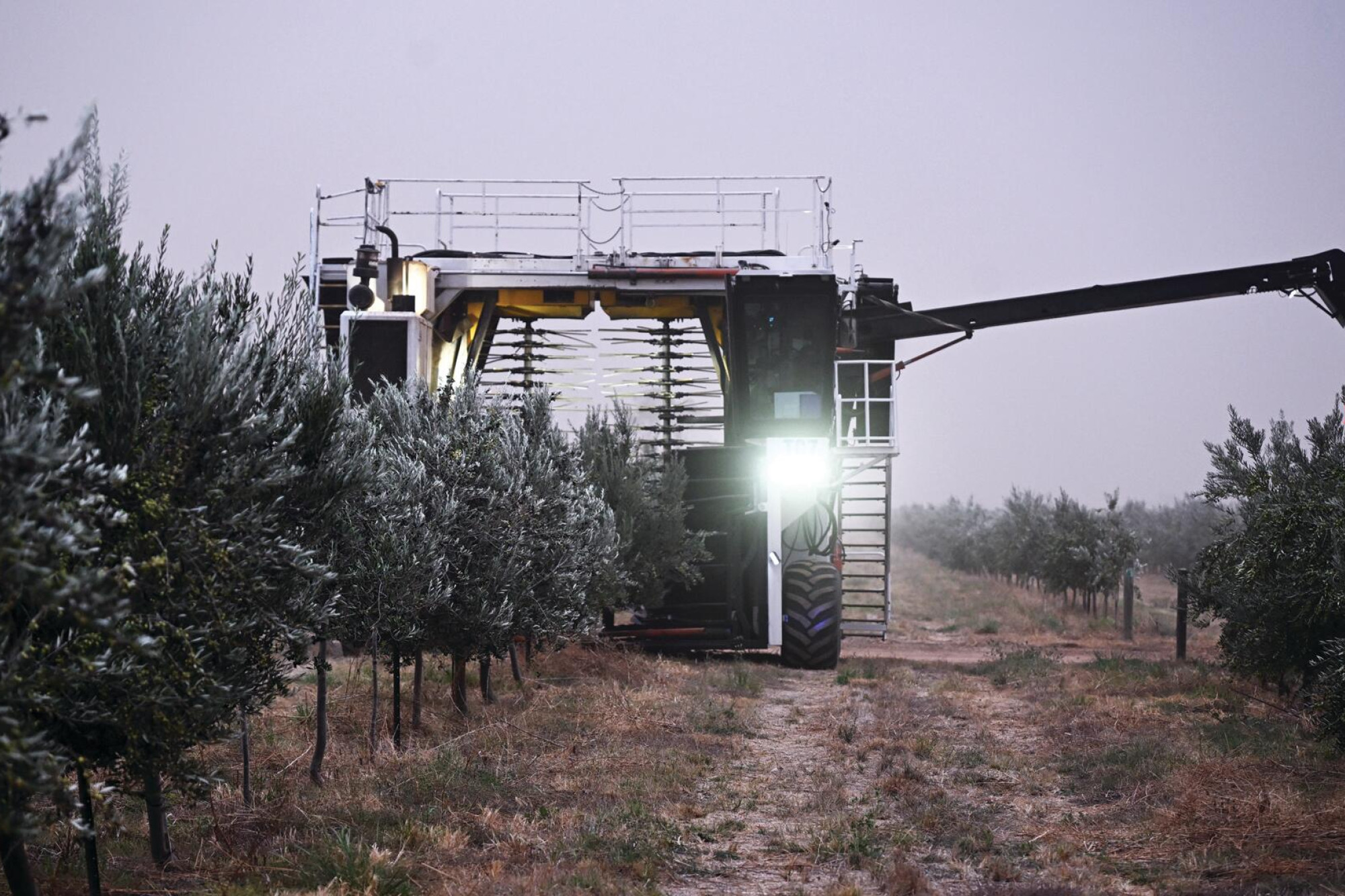 Share offer to drive US expansion - feature photo