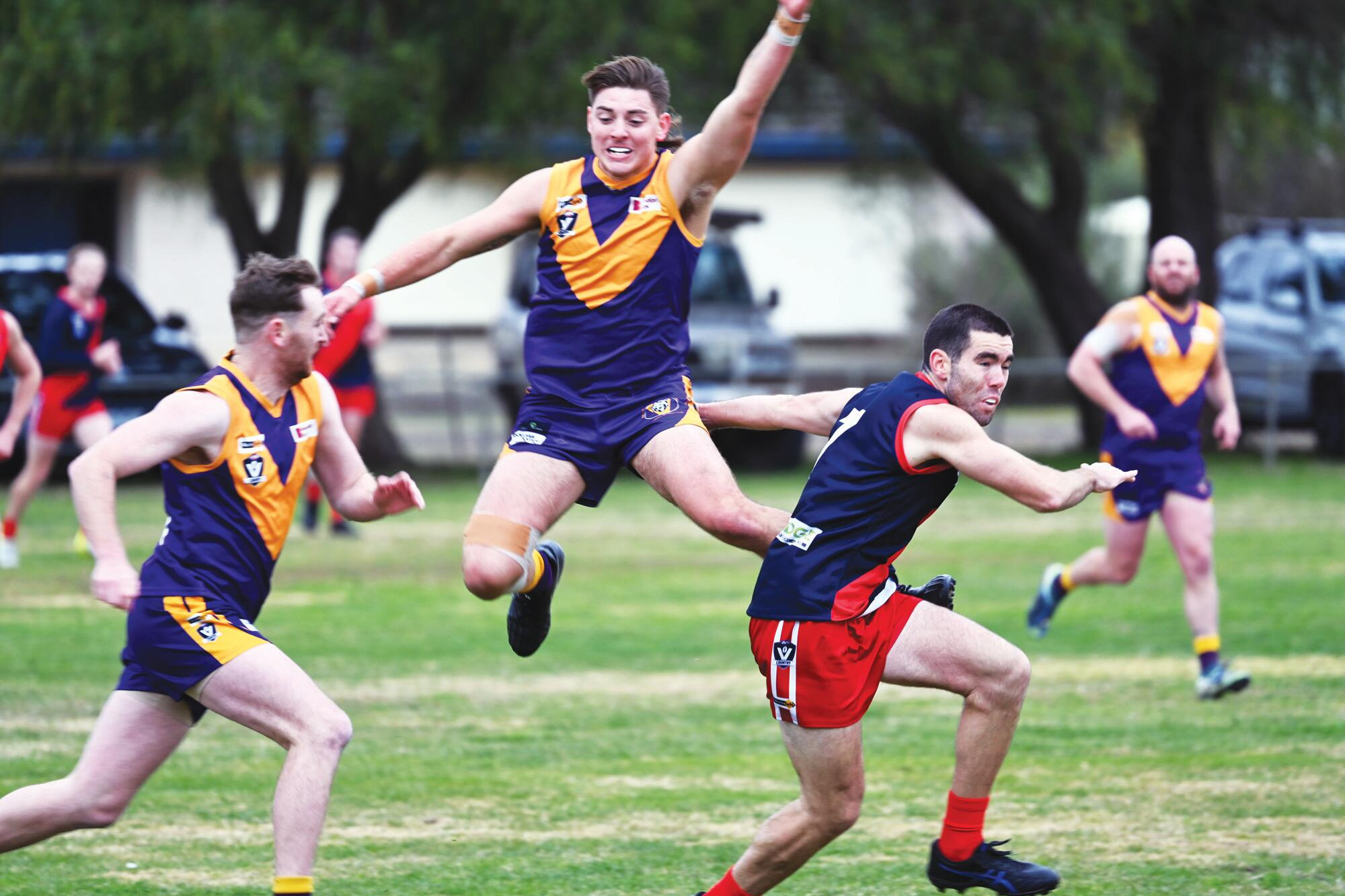 Darcy delights on senior return - feature photo
