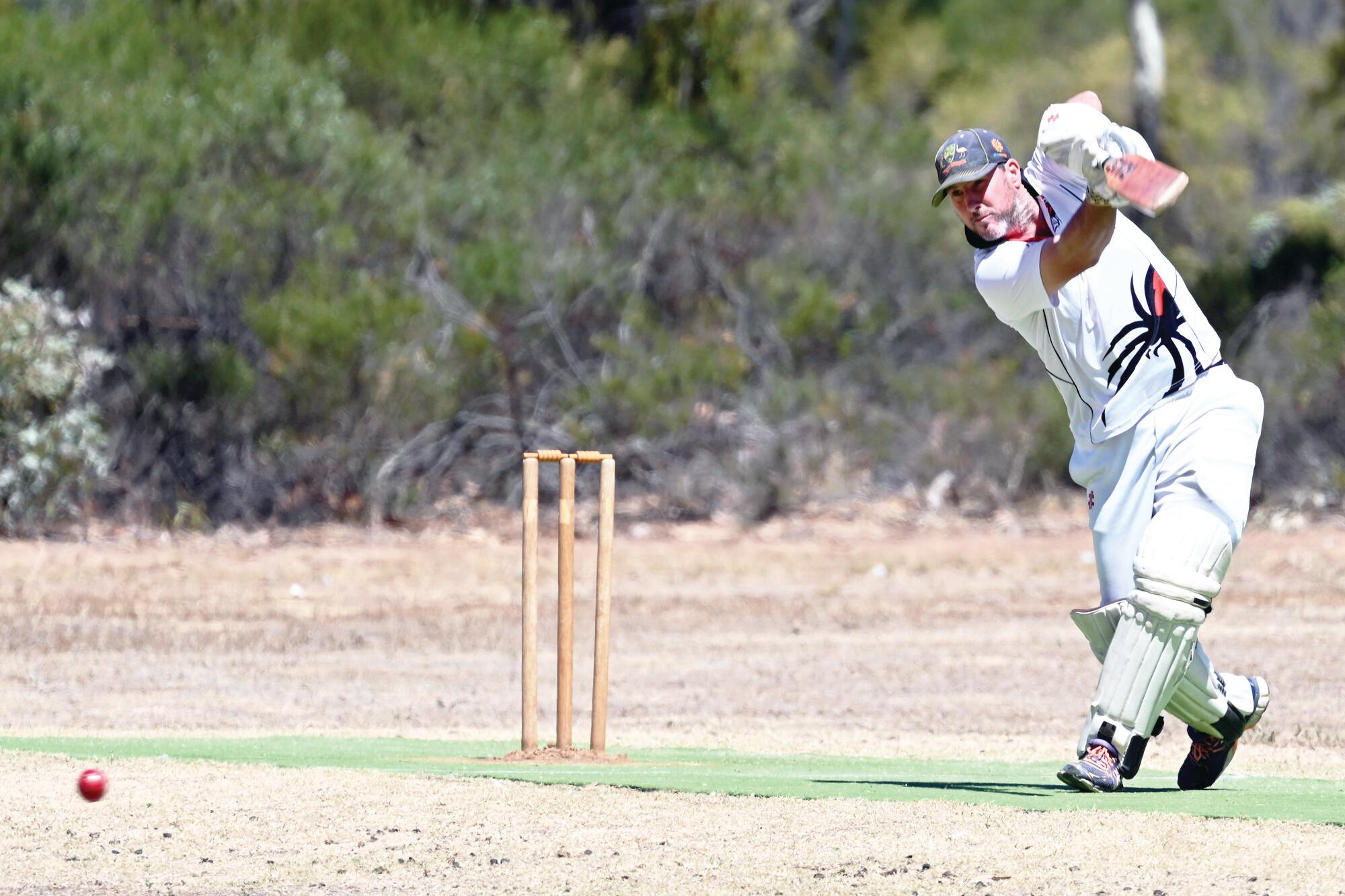 Pickles skittles Redbacks’ attack - feature photo