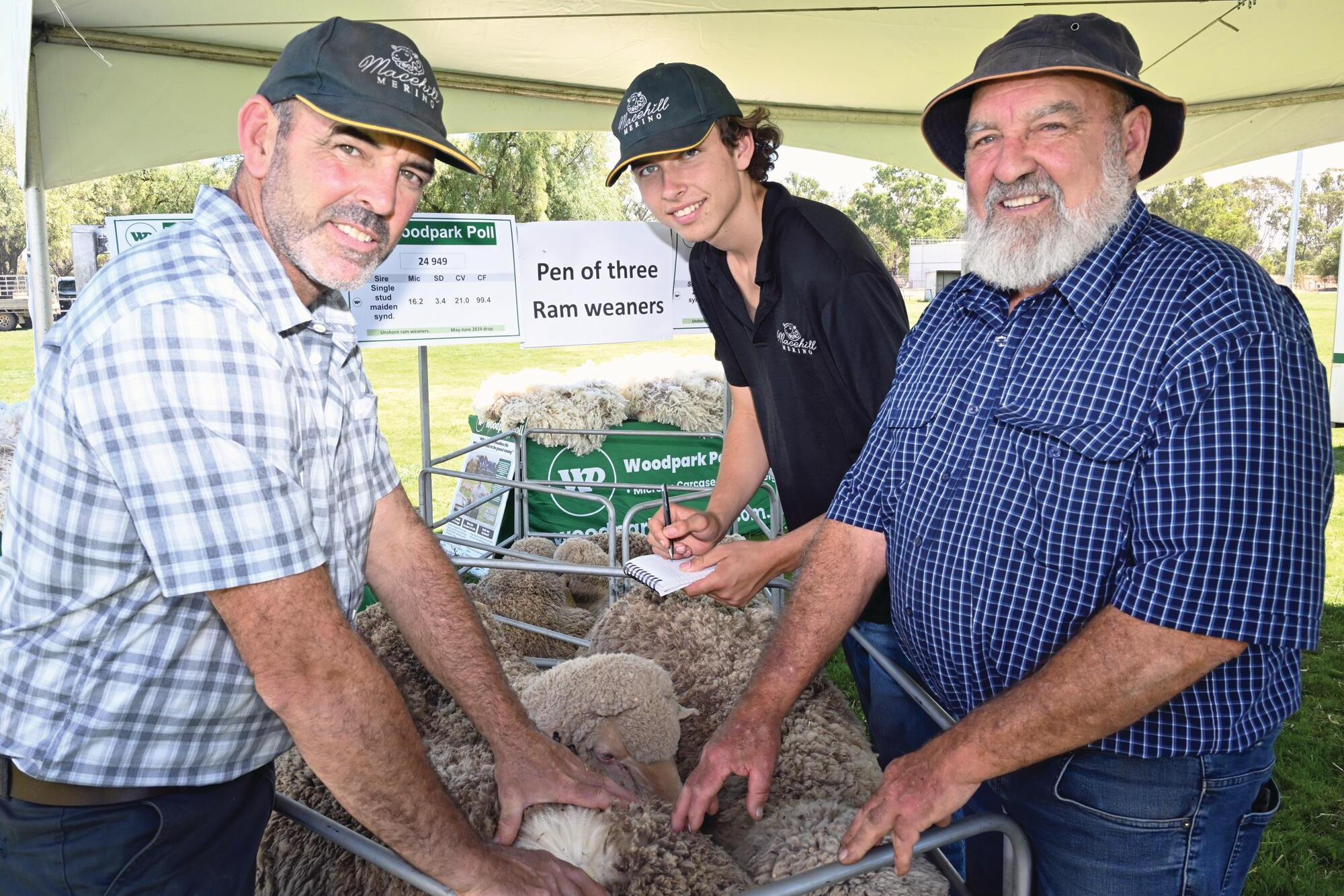 Luke, Alex and Mal Nicholls during judging of the ewe and ram competitions. LH PHOTOS