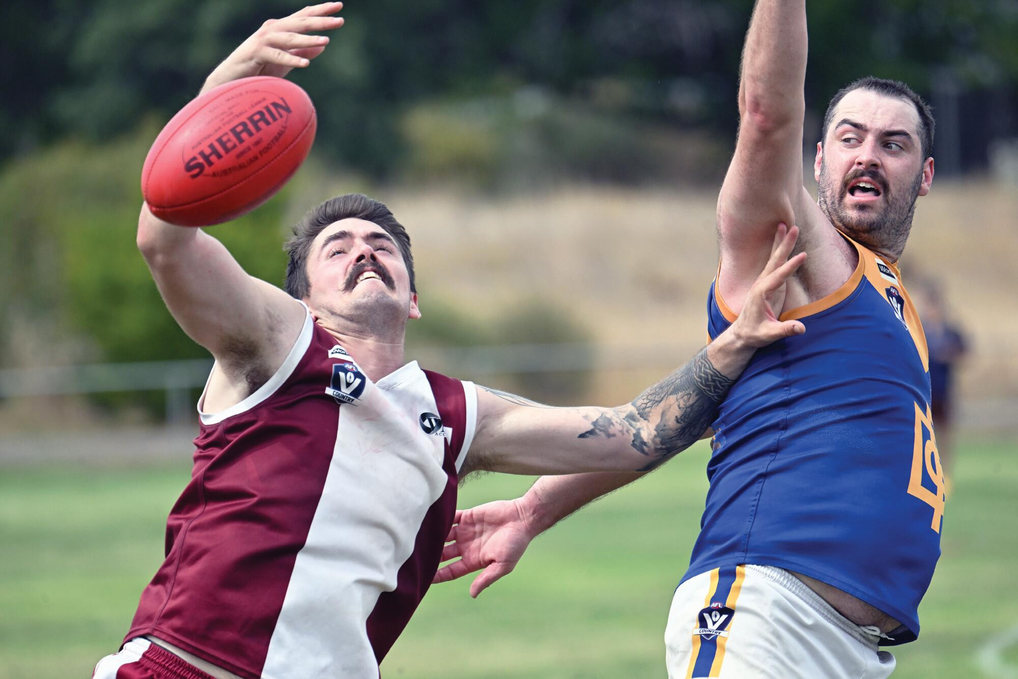 Maroons falter in bid to raise junior team - feature photo