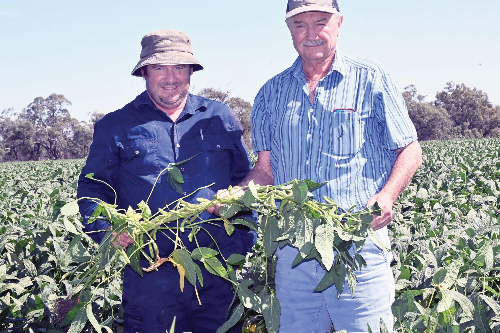 David Melville and Tony Sawers check progress of the soya bean crop. LH PHOTO
