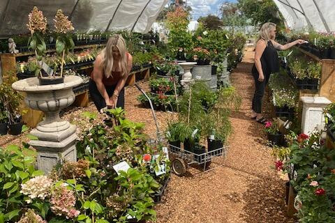 Bridgewater Nursery's 5th birthday celebrations start Friday - feature photo
