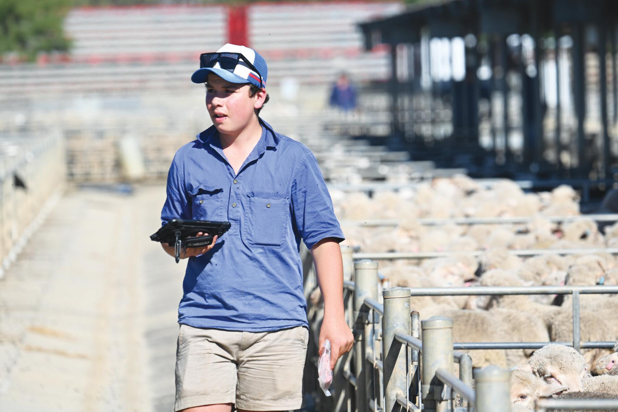 Flynn Lock at the Bendigo Livestock Exchange on Monday. LH PHOTO