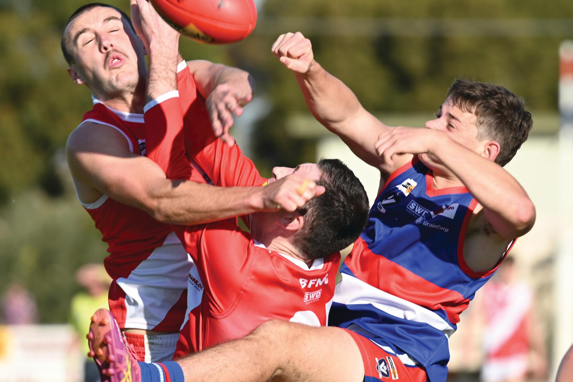 30 minutes of blistering brilliance from Bulldogs - feature photo