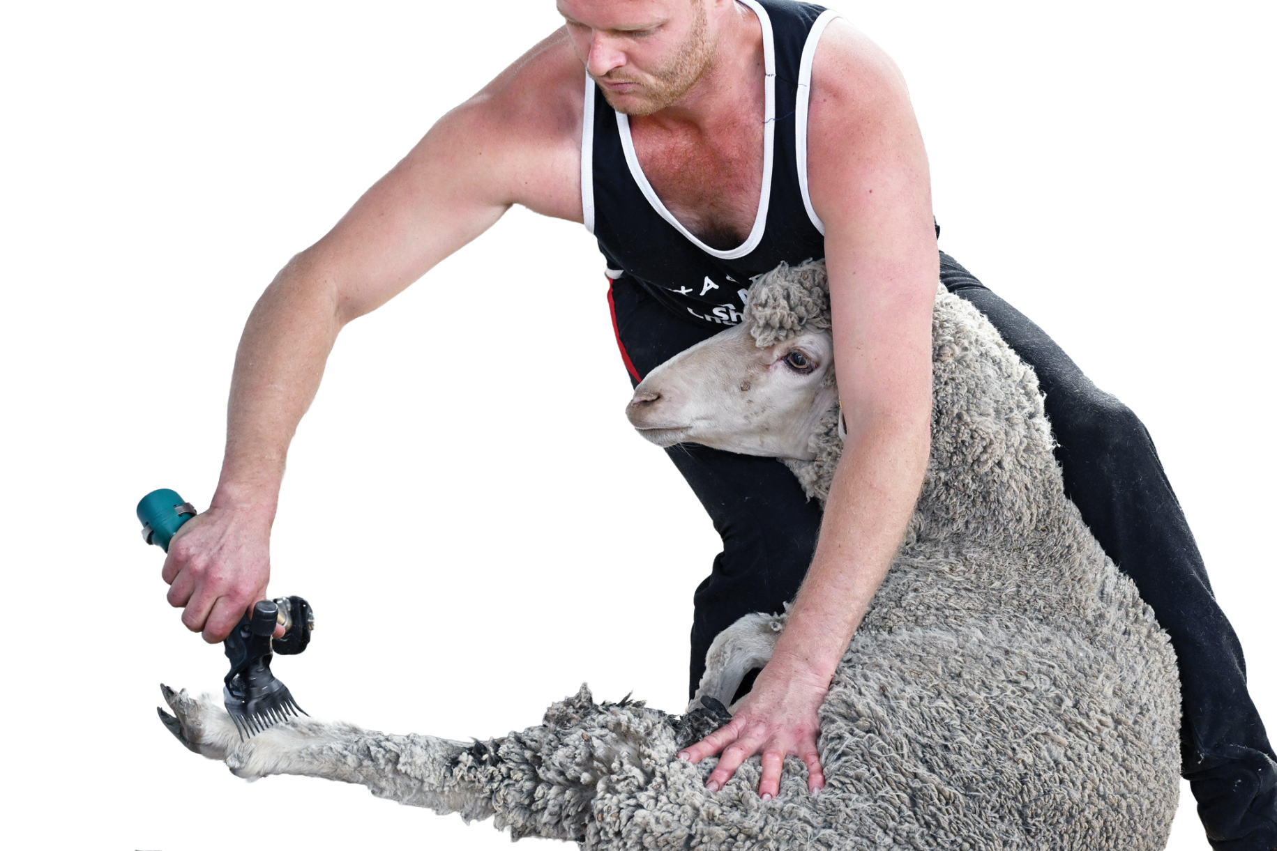 Shearing and yard dogs will mix with amusements, showbags and country crafts at the 2026 Boort Show