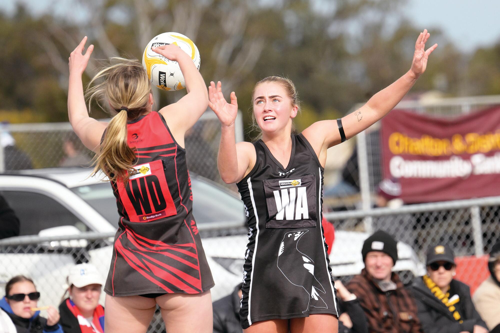 Still shaking: challenge is on as Pies push Redbacks - feature photo