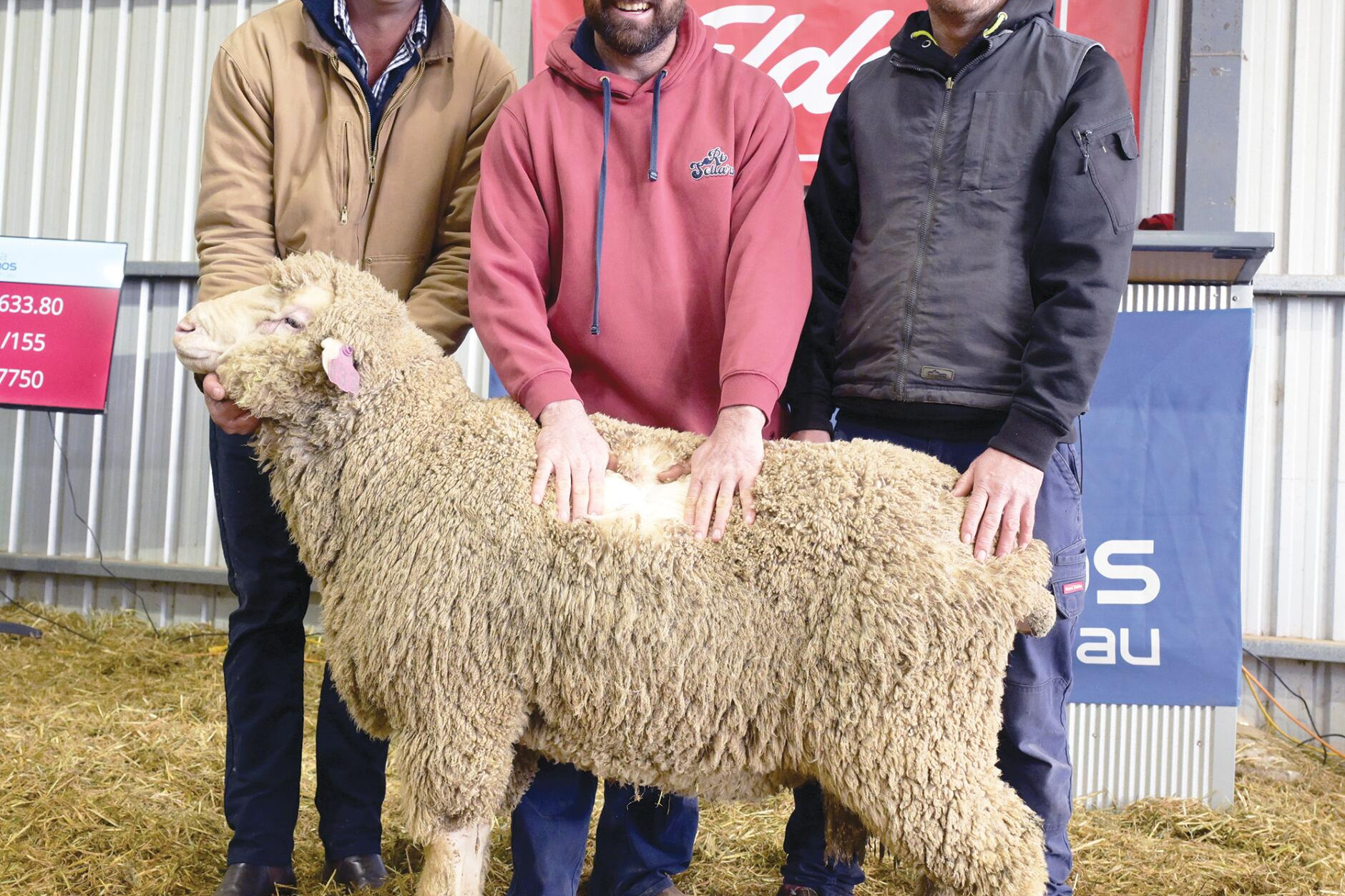Simon Coutts with Alistair and Richard Knight after their sale-topping purchase. LH PHOTO