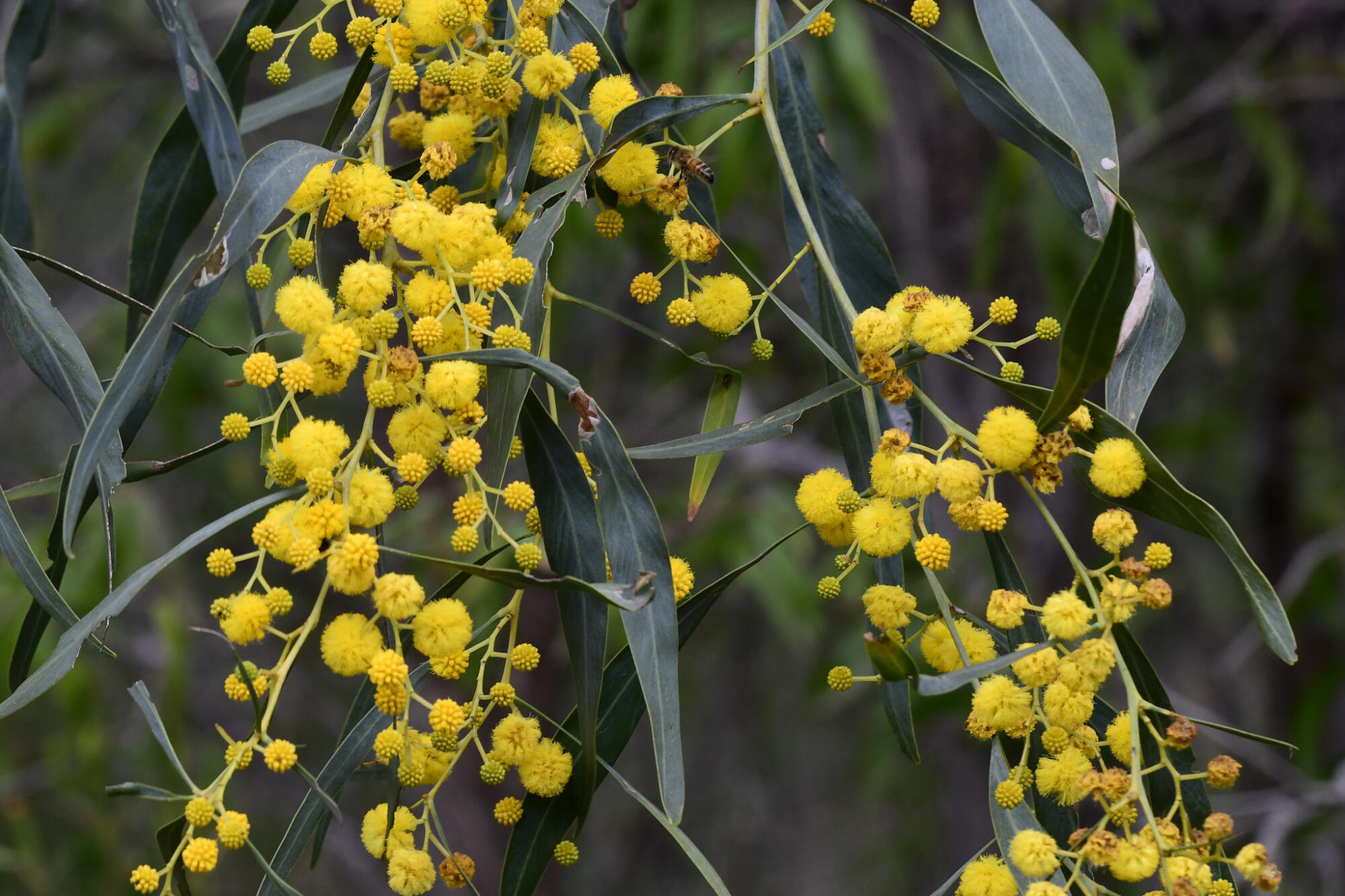 New link puts a spanner into spring - feature photo