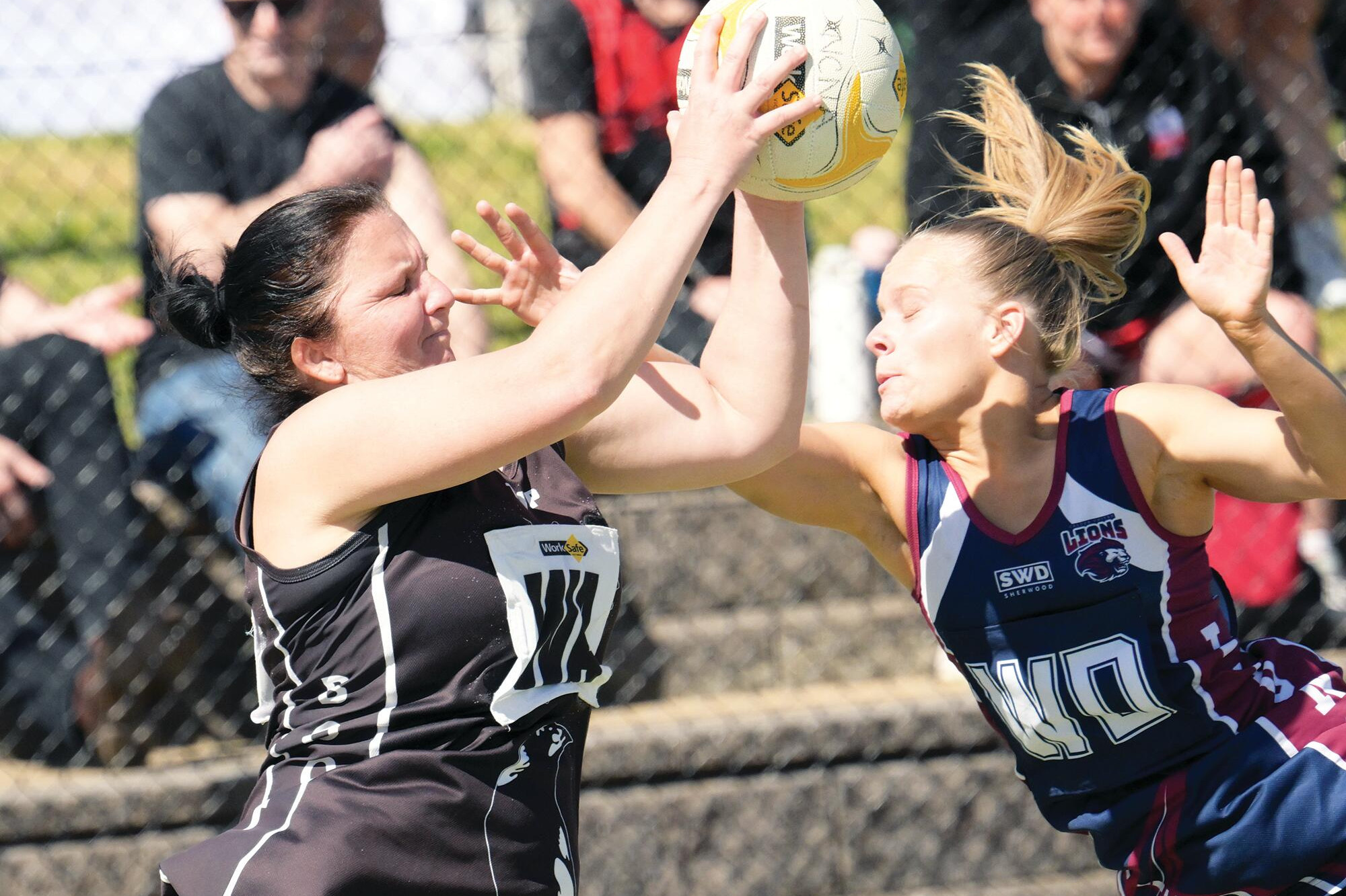 Experience and youth stand out for Pies - feature photo