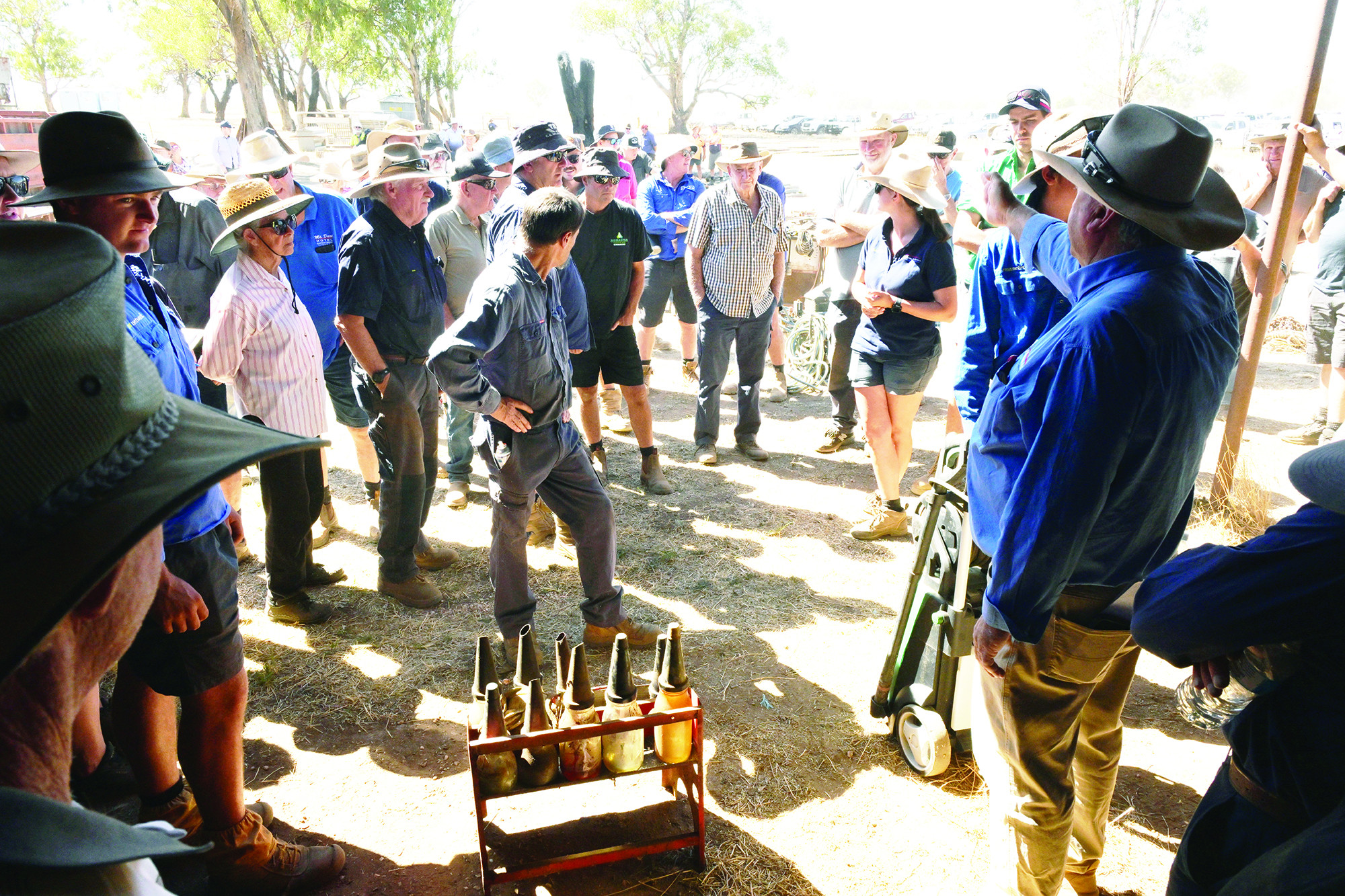 Bidders smitten with good oil - feature photo