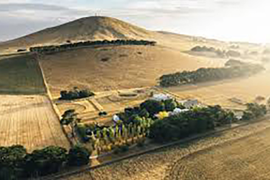 Farm values drop by a quarter, says bank report - feature photo