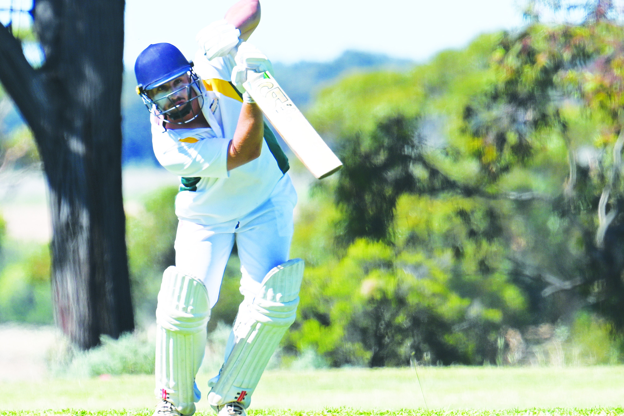 Reigning premiers left stunned and stung - feature photo