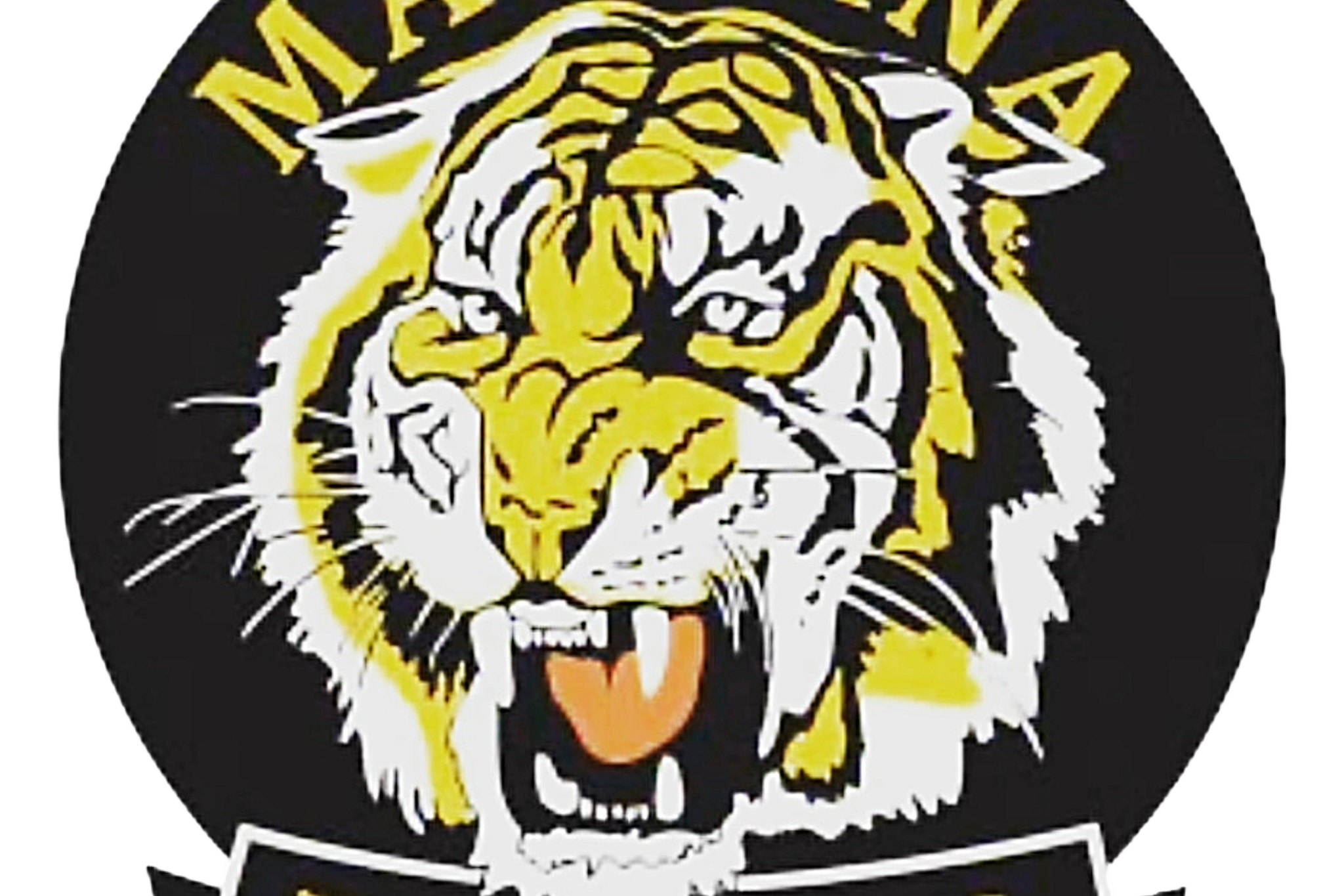 Tigers test waters with pre-season schedule - feature photo