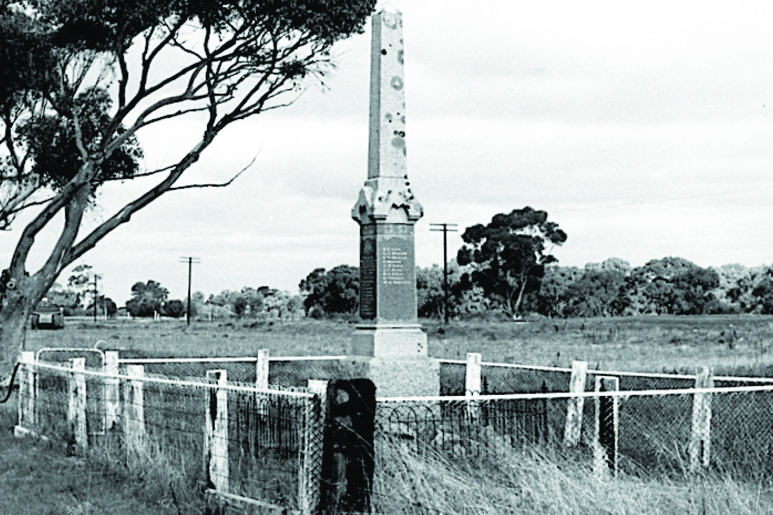 SUMMER READING In parcels of comfort - feature photo