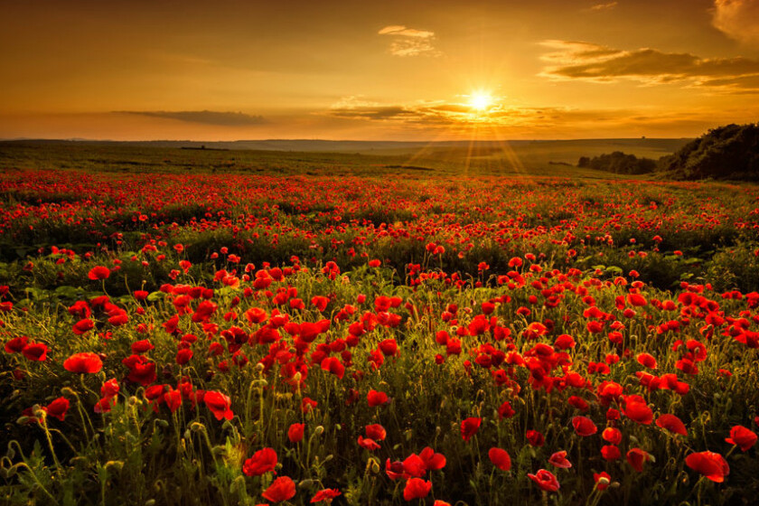 Poem touches the heart and soul - feature photo