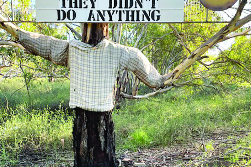 Over the Fence: Time for a laugh - feature photo