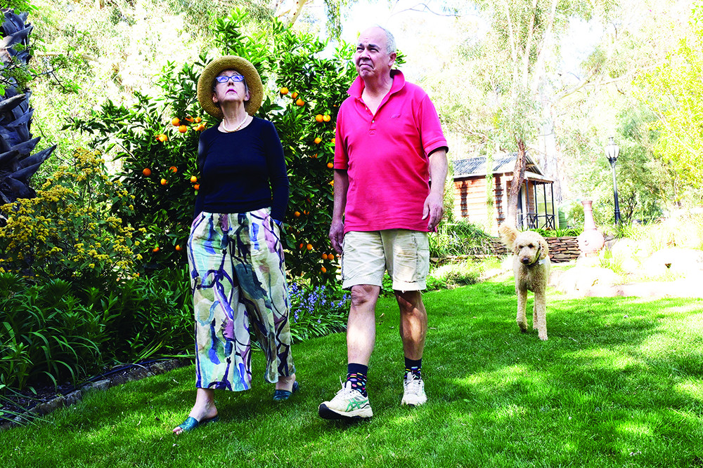 An old gum and some fruit trees becomes a special 'oasis' - feature photo
