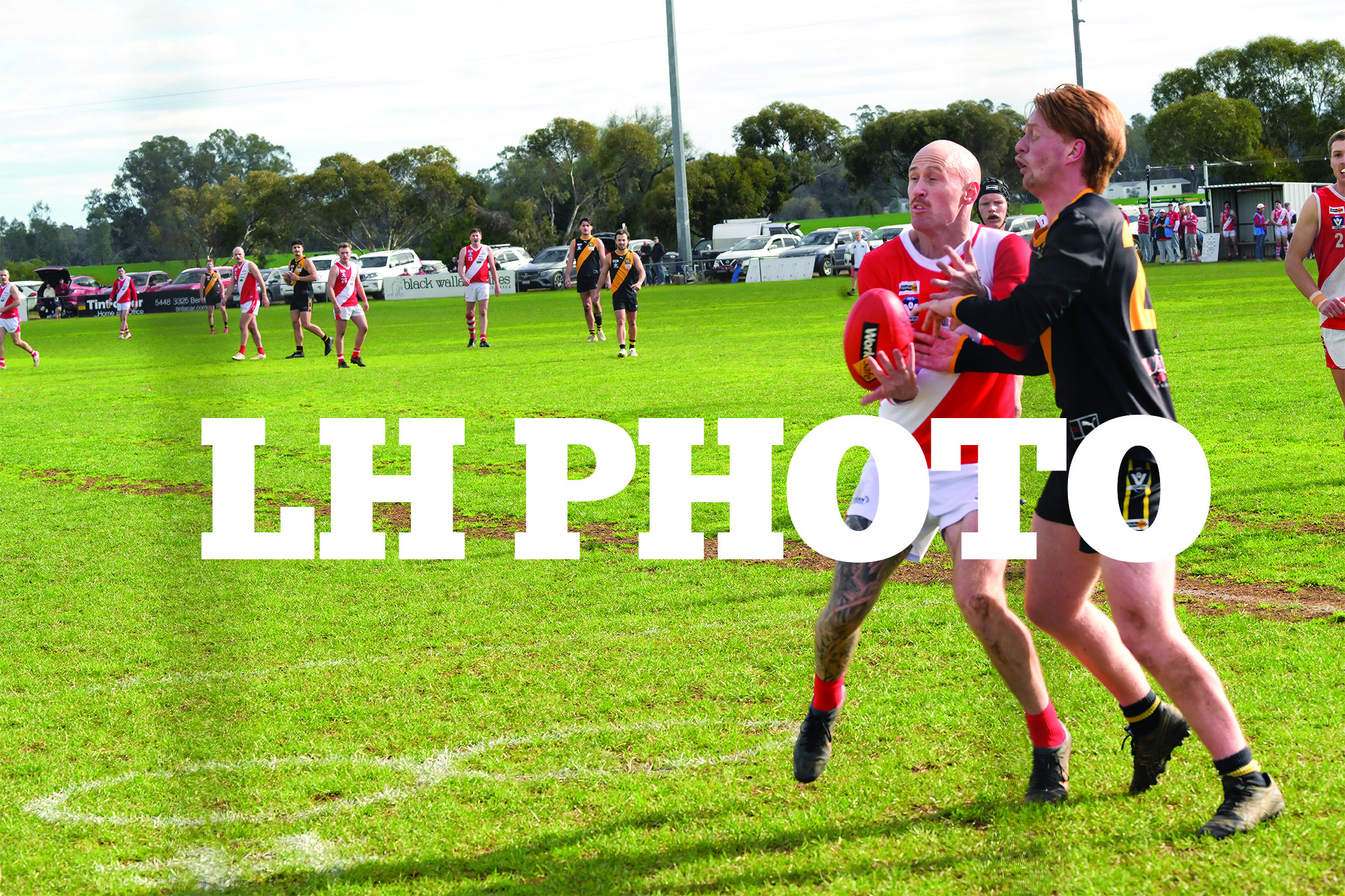 VIDEO - Wonder Sharp: Goal record back with Mean Machine - feature photo